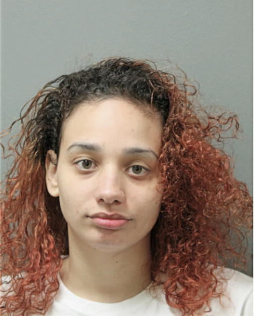 LISA J MENDEZ, Cook County, Illinois