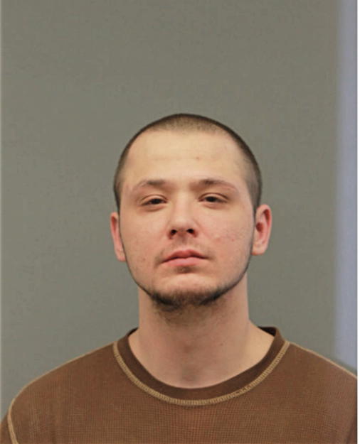 TERRY LEE MIKKELSON, Cook County, Illinois