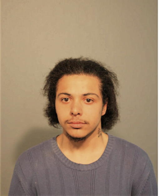 JUSTIN PARKS, Cook County, Illinois
