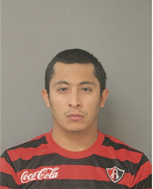 RUHAL ORTIZ RIVERA, Cook County, Illinois