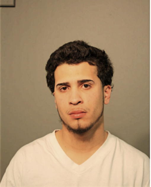 ELVIS ROMAN, Cook County, Illinois