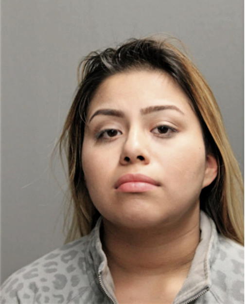 NICOLE MARYLIN ROSARIO DE LEON, Cook County, Illinois