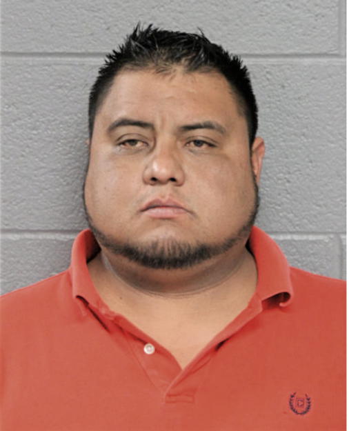 LUIS SALINAS, Cook County, Illinois