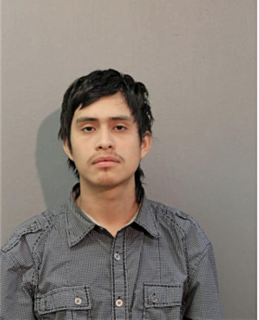 FRANCISCO SANCHES, Cook County, Illinois
