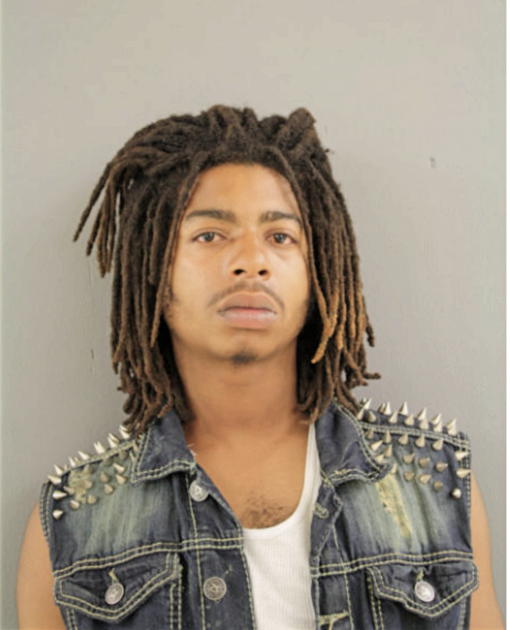 STEVEN J TRUNNELL, Cook County, Illinois