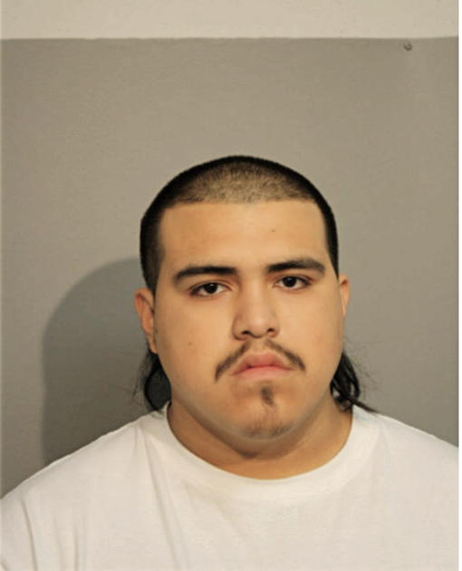 LLOBANI VASQUEZ, Cook County, Illinois