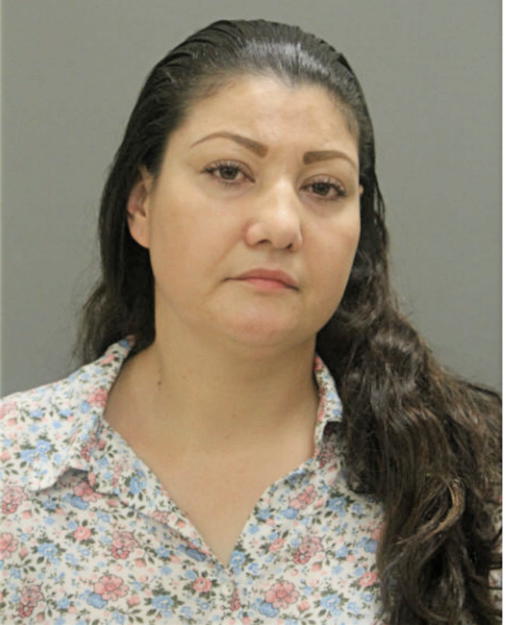 MARIA G VILLA ZETINA, Cook County, Illinois
