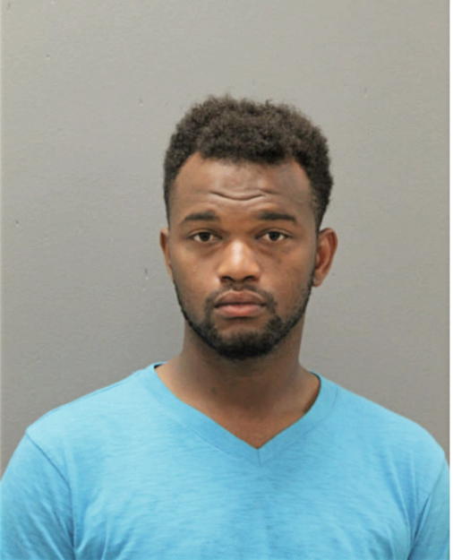 MICHAEL L WARD, Cook County, Illinois