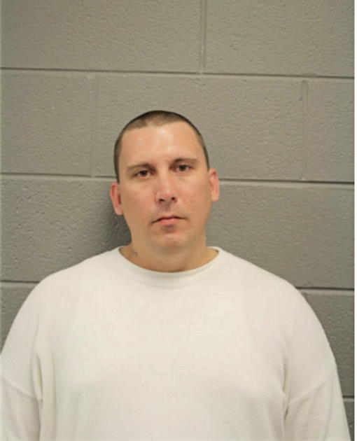 MICHAEL W WELLS, Cook County, Illinois