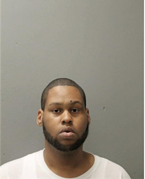 BRANDON C WILLIAMS, Cook County, Illinois