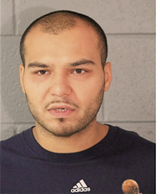 MARCO ZAMORA, Cook County, Illinois