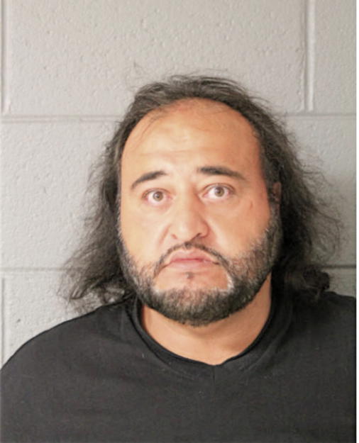 ADEL ATIEH, Cook County, Illinois