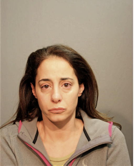 KAREN M BADAWI, Cook County, Illinois