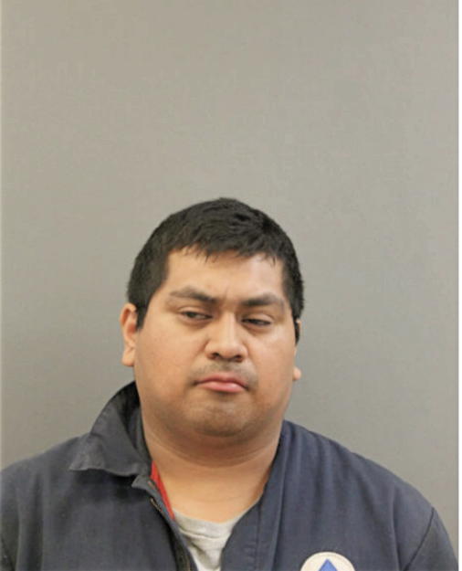SAUL BRAVO, Cook County, Illinois
