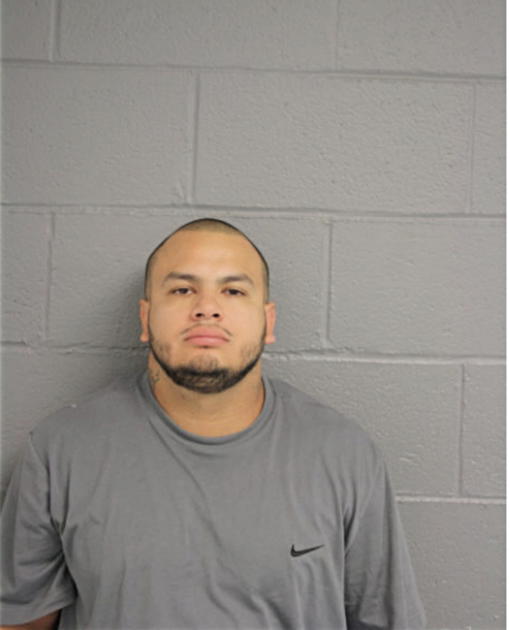 JESUS P CASTILLO, Cook County, Illinois