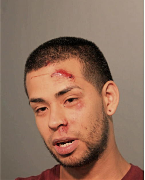 ARTURO I CHINO, Cook County, Illinois