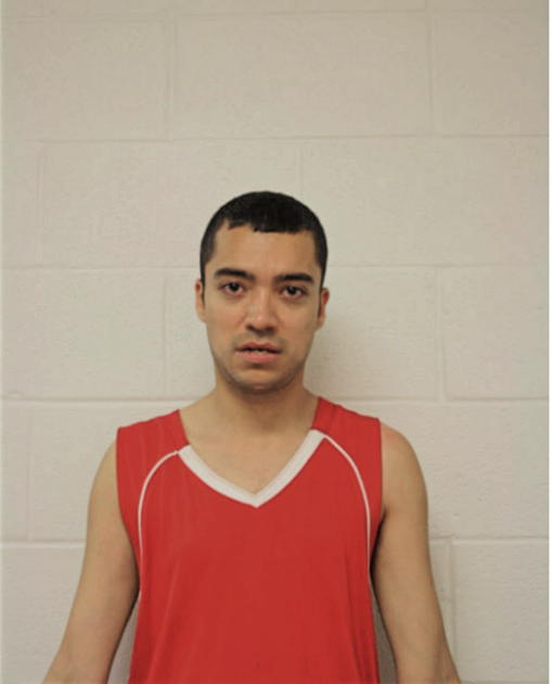 CARLOS COLUNGA, Cook County, Illinois