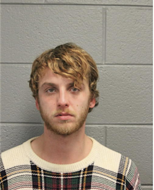 CHRISTOPHER N DAVIS, Cook County, Illinois