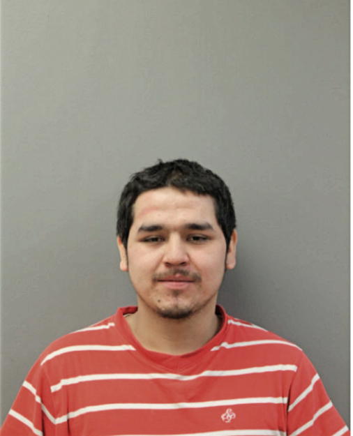 FRANCISCO GARCIA DELGADO, Cook County, Illinois