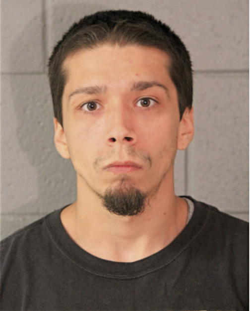 MIGUEL G DORAN, Cook County, Illinois