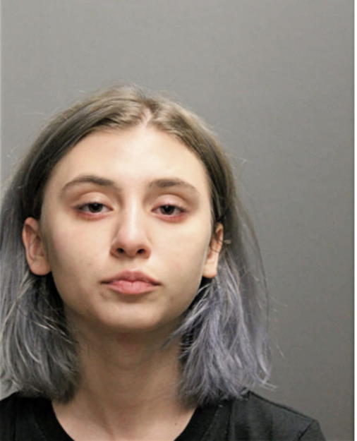 TAYLOR GAVIN, Cook County, Illinois