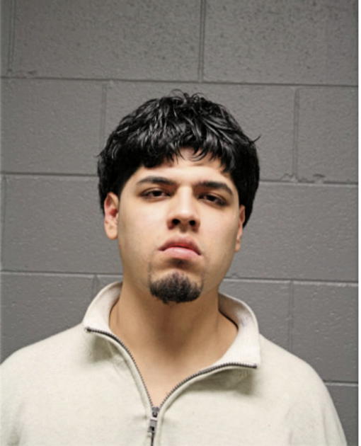 PONCIANO HERRERA, Cook County, Illinois