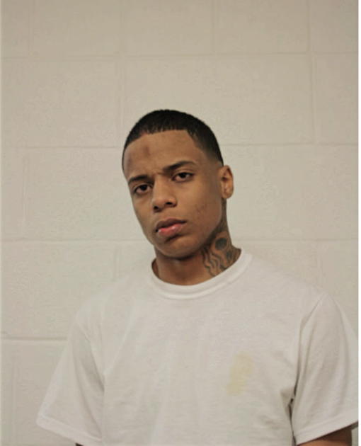 PATRICK L JOHNSON, Cook County, Illinois