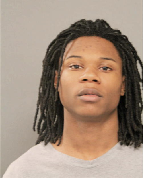 VASHON L JOHNSON, Cook County, Illinois