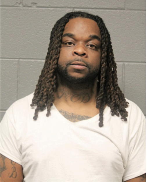BRUCE D LLOYD, Cook County, Illinois