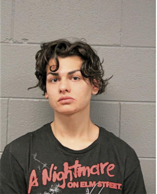 CHRISTOPHER M MOTA, Cook County, Illinois