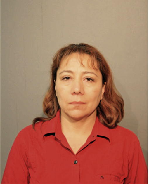 ELSA CARRION NARANJO, Cook County, Illinois
