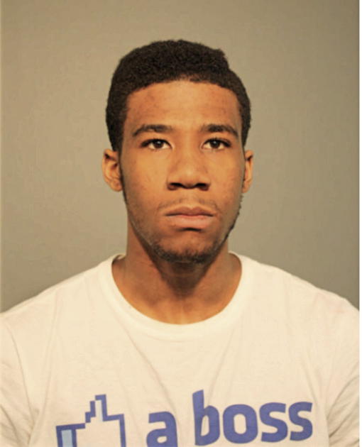 SAMUEL A OGUNLEYE, Cook County, Illinois