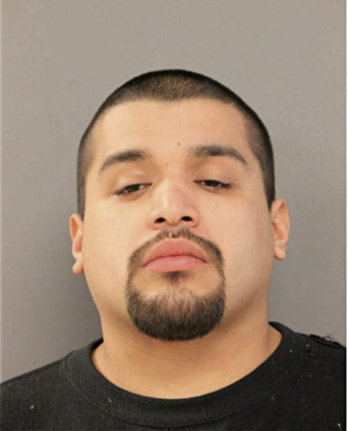 ANDY J OJEDA, Cook County, Illinois