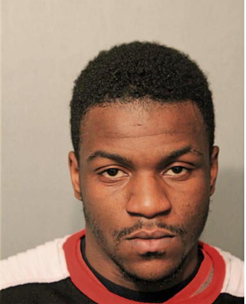LESHAWN E PATTERSON, Cook County, Illinois