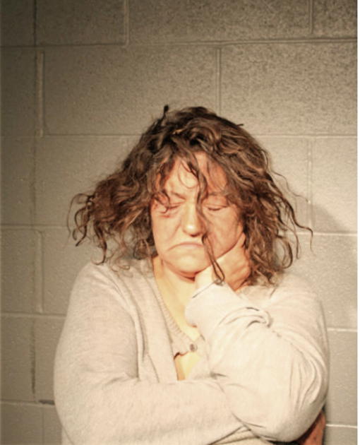 DANA POIVICIE, Cook County, Illinois