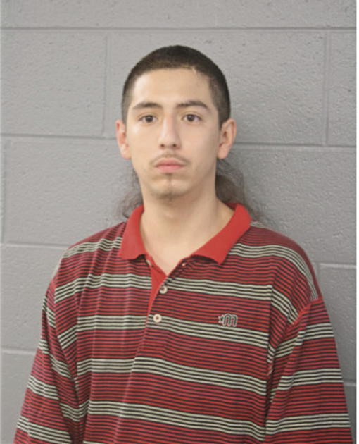 OSVALDO POSADA, Cook County, Illinois