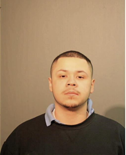GABRIEL ADAN REYES, Cook County, Illinois