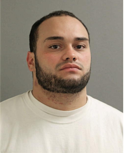 LUIS MANUEL ROMAN, Cook County, Illinois