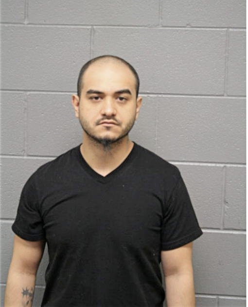 JOHN J SADOWSKI, Cook County, Illinois