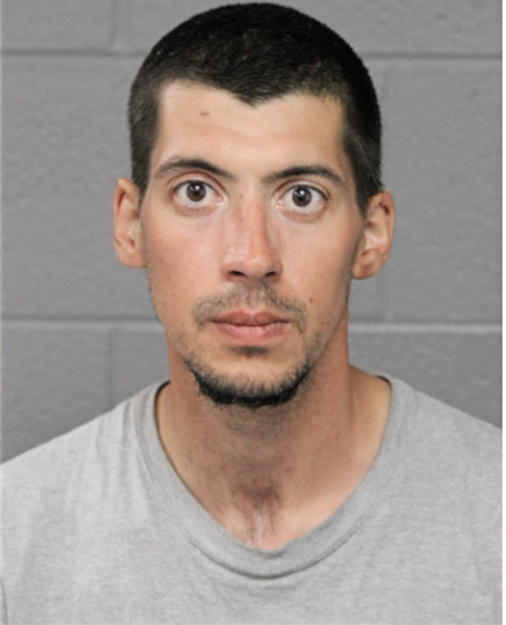 ALEXANDRU J SANNITO, Cook County, Illinois