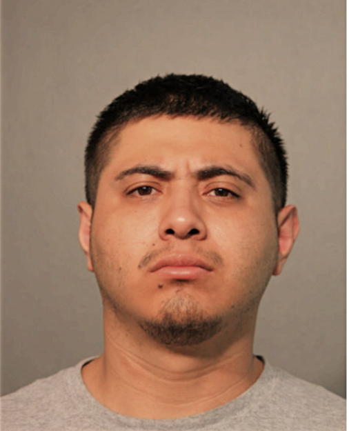 ALFREDO VIVEROS, Cook County, Illinois