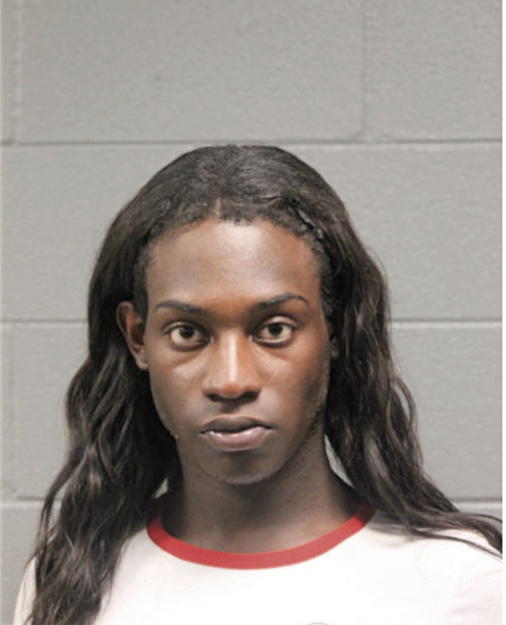 FELICIA L WILLIAMS, Cook County, Illinois