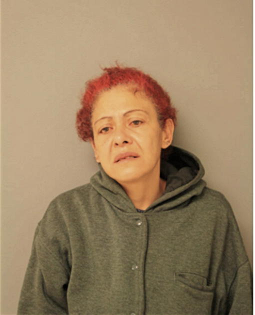 ANA LUZ APONTE, Cook County, Illinois