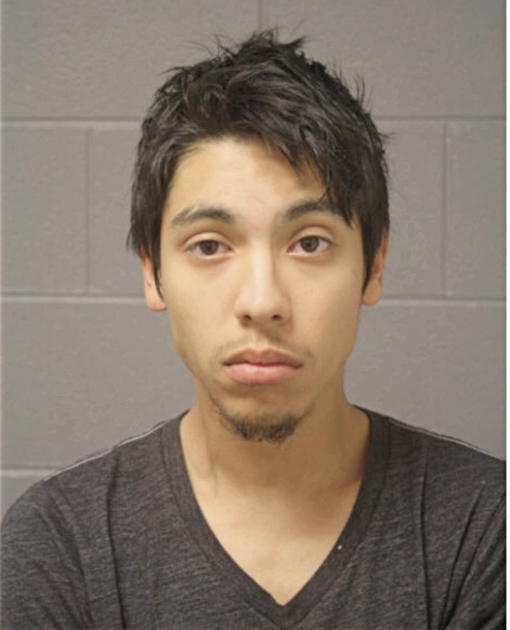 CARLOS A BAHENA, Cook County, Illinois
