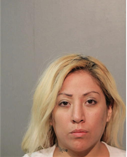 JUANA B CORTEZ, Cook County, Illinois