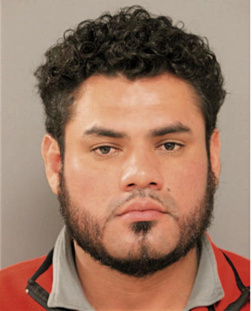RAMIRO FLORES, Cook County, Illinois