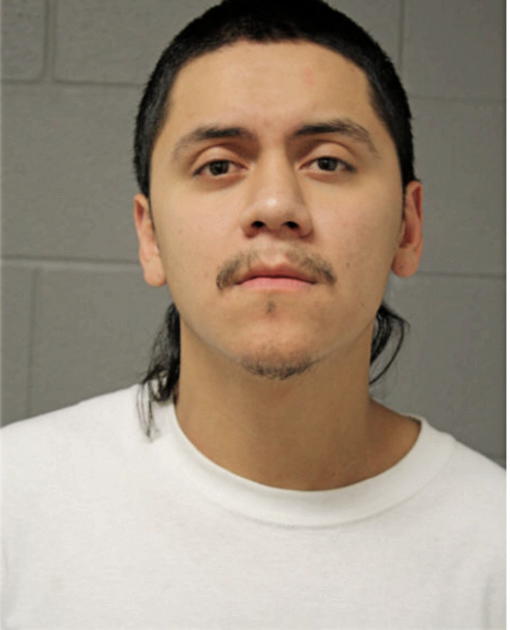 CESAR D FUERTE, Cook County, Illinois