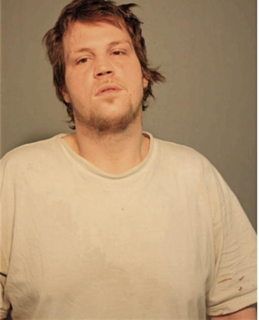 BRYAN M GIARRATANO, Cook County, Illinois