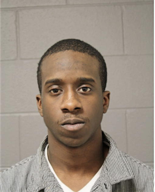 NIKITA T GRIMES, Cook County, Illinois