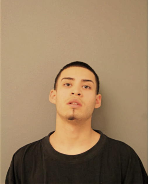 JOSE M GUZMAN, Cook County, Illinois